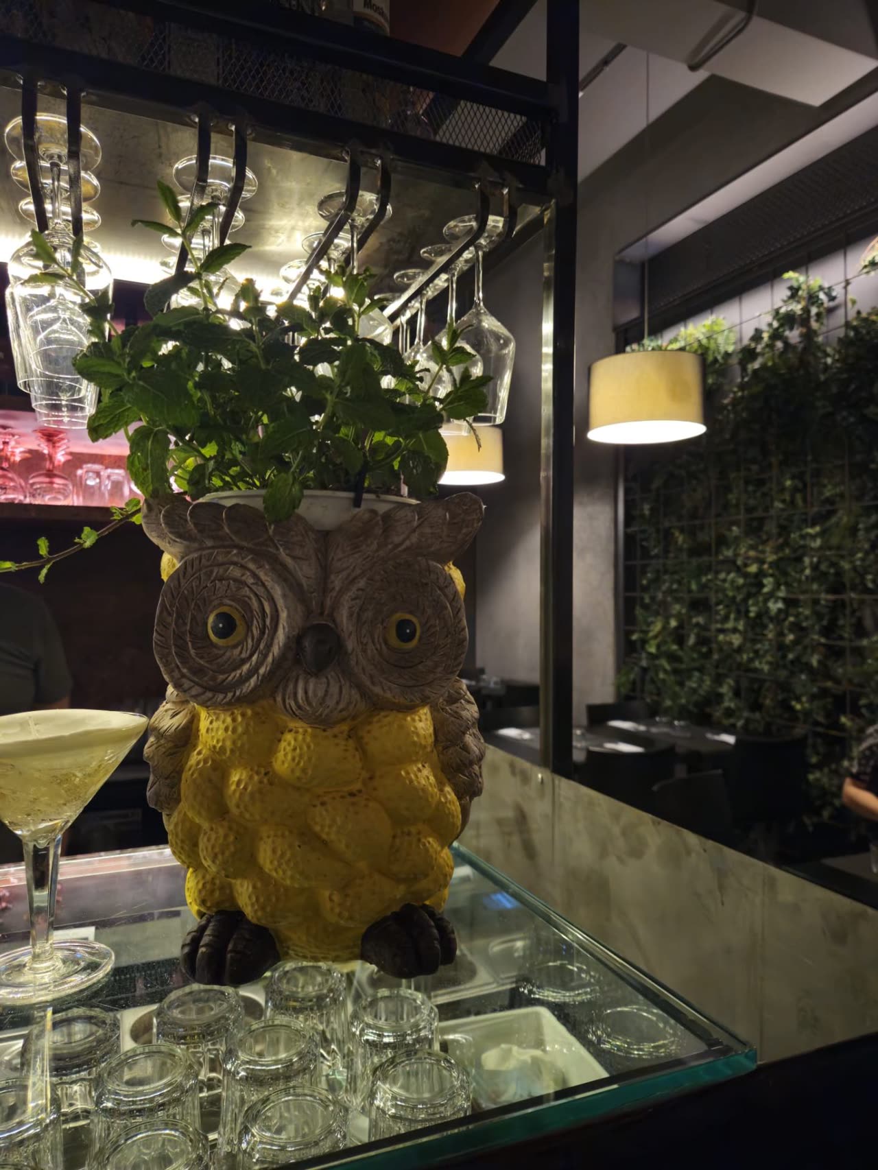 Meccanismo — cocktail e menta